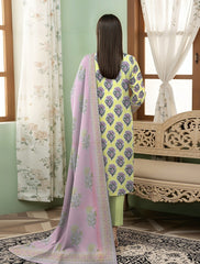 3pc Summar Lawn Suit (Organza dupatta)