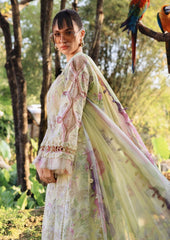 3pc Summar Lawn Suit  [CHIFFON DUPATTA PRINTED ]